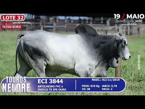 LOTE 32   ECI 3844