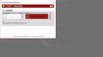 How to multi public WAN IP
