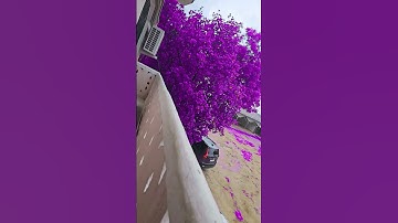 #tutorial #filter #edit #strangerthings