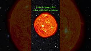Mira A pulsating giant in the Whale #space #astronomy #universe