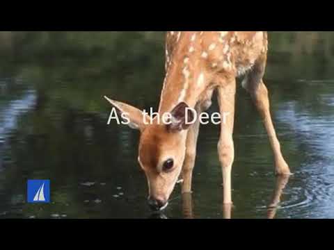 As the deer pants for the water English Christian worship song