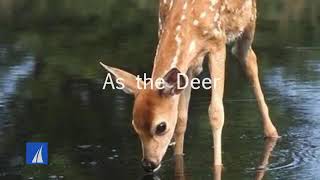 As the deer pants for the water English Christian worship song