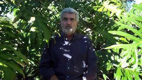 Skip Cohen // Getting the most out of tradeshows