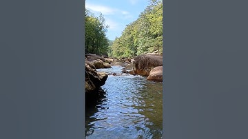 Lazy Day at the Creek #summerdays #creekside #peace