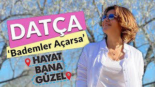 Şenay Akkurt ile Hayat Bana Güzel  Datça Badem Çiçeği Festivali  Datça Rehberi