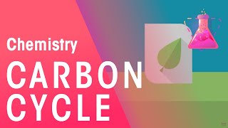 What Is The Carbon Cycle - Part 1| Environmental Chemistry | Chemistry | FuseSchool