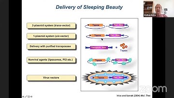 ESGCT e-School: The Sleeping Beauty transposon - a molecular parasite tamed for genome engineering