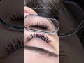 Brown Angel Spikey Hybrid Set – Soft. Sharp. Stunning #sanfrancisco #lashextensions #wispylashes