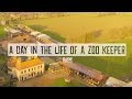 A Day In The Life of a Zoo Keeper