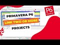 How to Link two or more Projects in Primavera P6 | Link with Other Projects | Interlinking