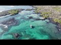 Pinzon Island Snorkeling Tour, Galapagos Islands, Ecuador