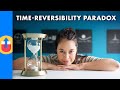 Why Time Actually Flows Both Ways