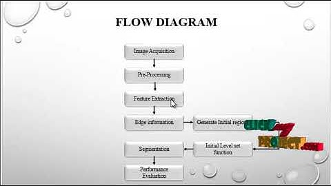 Weighted Level Set Evolution Based on Local Edge Features for Medical Image Segmentation