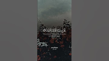تلاوة عطرة للقارئ احمد عباس البلوشي من سورة الرحمن
