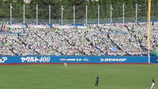 Rooting for Tokyo Yakult Swallows Outfielder Balentien