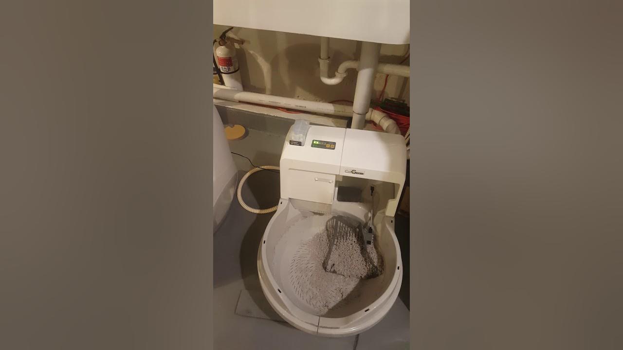 Cat Genie vs Litter Robot 3 YouTube