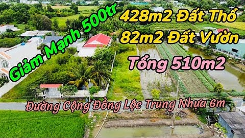 Đất Cần Giuộc / Chủ Đang Rất Ngộp Giảm Mạnh 500tr Đất Giáp Ranh TPHCM