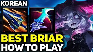 How to Play Korean Briar Gameplay - RANK 1 BEST BRIAR IN THE WORLD | Season 14 League of Legends