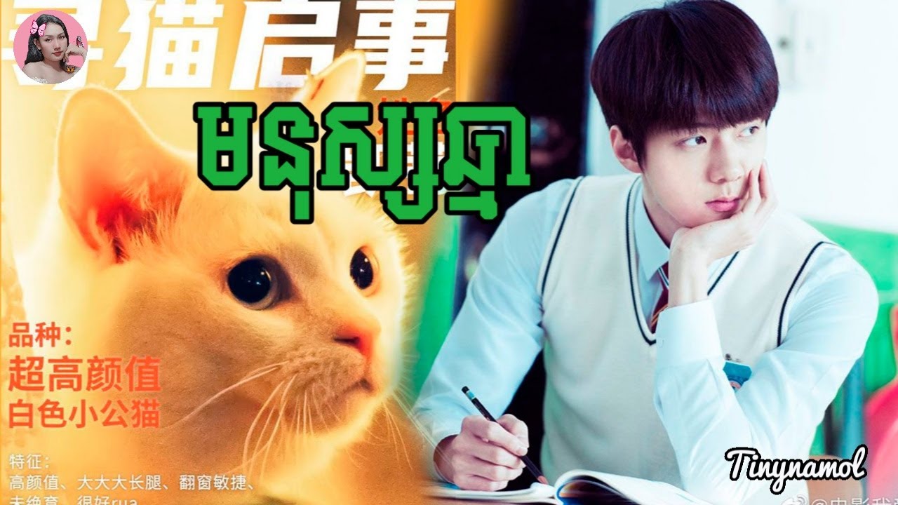 មនុស្សឆ្មា​ | Catman | សម្រាយសាច់រឿង | movie review | Tinynamol