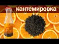 рецепт настойки &quot;Кантемировка&quot; от канала свой среди своих кулинария