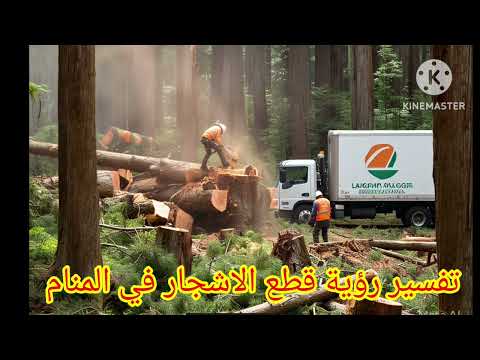 تفسير رؤية حلم قطع الاشجار في المنام ابن سرين بتفصيل