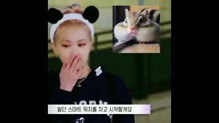 Khi Rosé giống sóc chuột Jennie ko nhận ra 😂| cre: tiktok