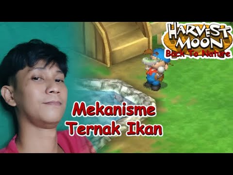 Resep Grilled Fish Hmbtn