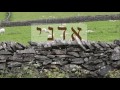 &quot;Adonai&quot; in ancient Hebrew! (Part II)