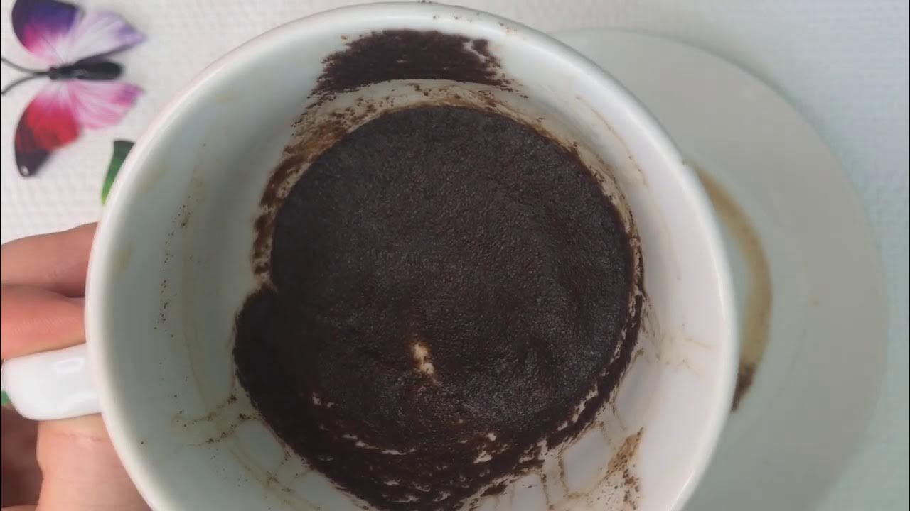 24 на кофейной гуще. 24 на кофейной гуще. крахмал, кофейная гуща. электростанция на кофейной гуще. цветок из кофейной гущи.