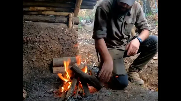 Building a Survival Cabin with Chimney Fireplace & Wooden Roof in the Wilderness #outdoors #viral