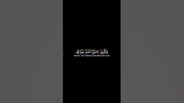 ومن الناس من يتخذ من دون الله اندادا | كرومات شاشة سوداء القران الكريم | القارئ ياسر الدوسري