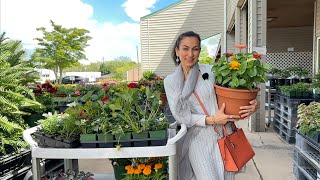 Shopping for More Plants and Flowers | Greenville Farmers Market | Heghineh Vlogs