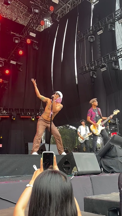 slank mawar merah at pestapora