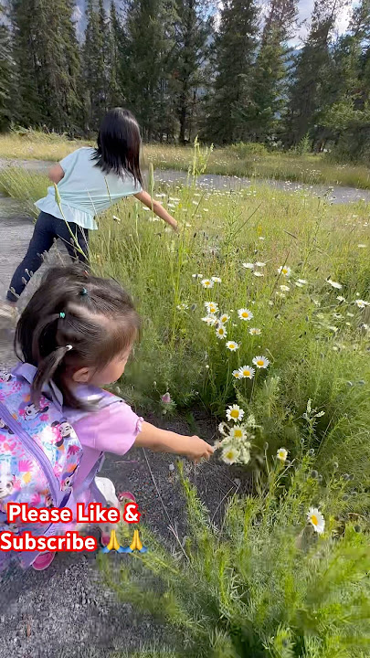 Wild Flowers 🌺 #shortsfeed #cute #canadadiaries #cutebaby #youtubeshorts