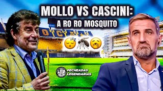 Mollo vs Cascini: A ro ro mosquito