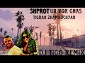 Shprot &amp; Tigran Zhamkochyan - Ur vor gnas (Dj Tigo Remix)2023