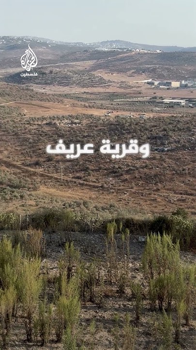        
 - نشر قبل 3 ساعة