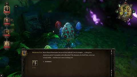 Divinity: Original Sin Enhanced Edition - Fun with Fungi: Solving Riddle