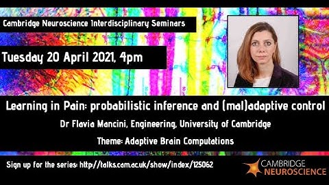 Dr Flavia Mancini - Learning in pain: probabilistic inference and (mal)adaptive control.