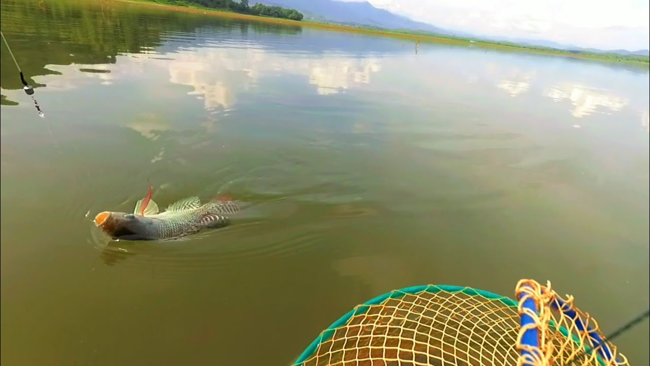  Mancing  ikan Mujair  Nila  VM21 YouTube