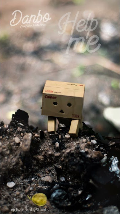 Help Me | Danbo Kiwigraphy Photo Series youtube shorts #shorts