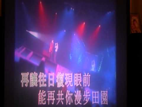 誰可改变 譚詠麟 張柏芝 Covered By 光 彩兰