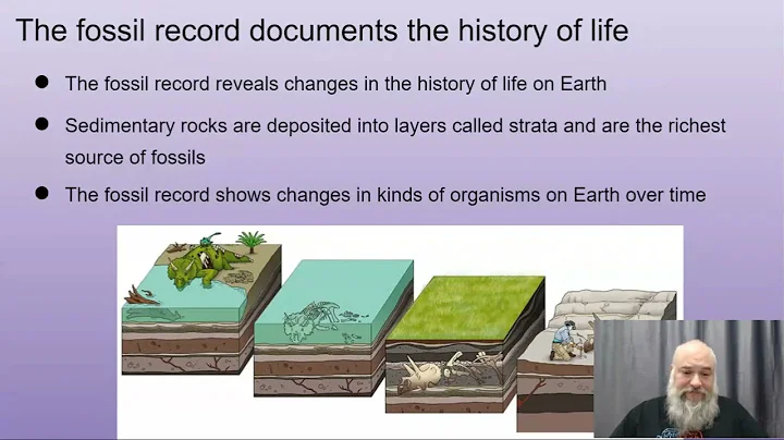 AP Bio Unit 7-Part 5: Evolution: 7.6 Evidence
