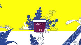 Product Range | Explainer Video - English | JSW Paints