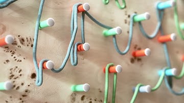 Cinema 4D Dynamic Ropes Tutorial