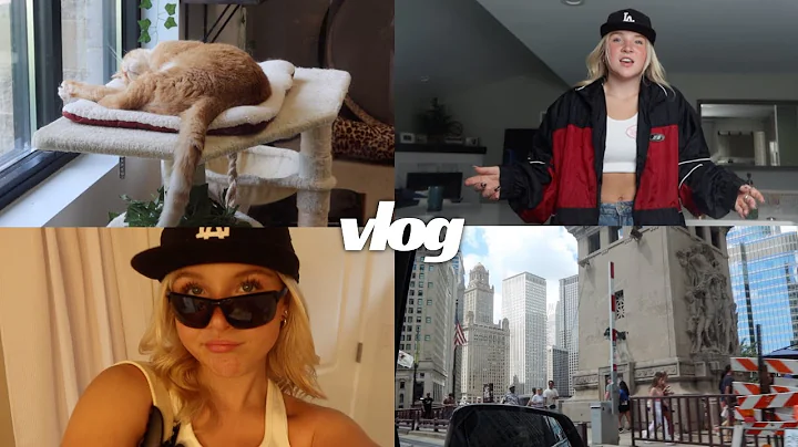 vlog (new project, thrifting, cats)