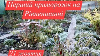 картинка: В МОЄМУ САДУ ПЕРШИЙ МОРОЗ,21 .10.2025року