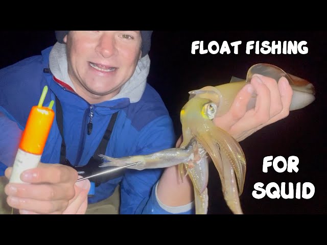 Time To Go Squid Fishing  Catching Squid using a FLOAT & BAIT