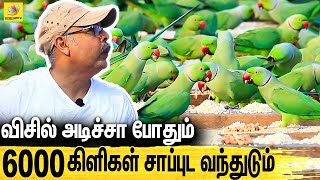 பாட்டு பாடி 6000 கிளிகளுக்கு உணவளிக்கும் நபர் : Feeds 6,000 Birds Every Day | Parrot Man Chennai