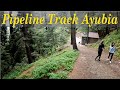 Pipeline Track Ayubia to Dunga Gali. PM Imran Khan&#39;s Favourite Walking Track | Ayubia National Park